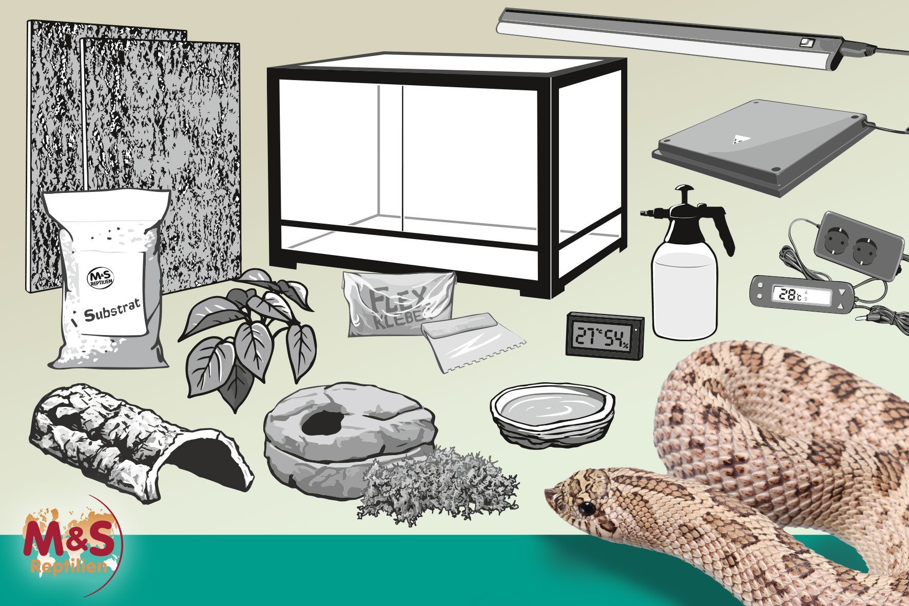 ReptiZoo Terrarium Komplettset: Für kleine bis mittelgroße Schlangen und zur Aufzucht (ca