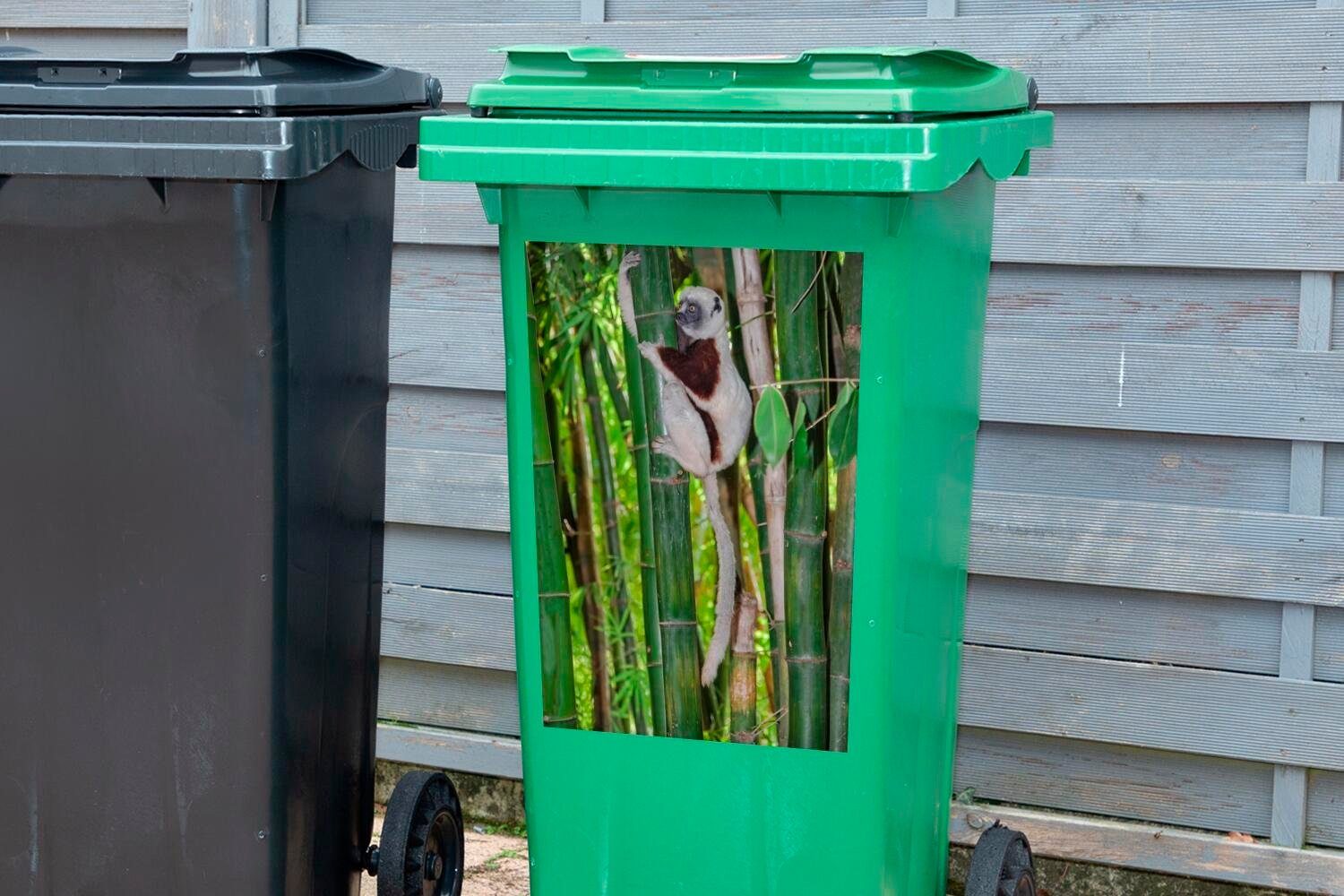 Wandsticker Lemuren-Affe Container, hängend St), Sticker, Mülltonne, Bambus im Abfalbehälter MuchoWow Mülleimer-aufkleber, (1