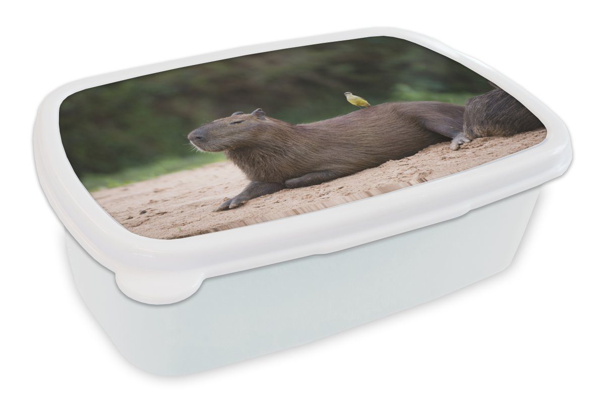 MuchoWow Lunchbox Ein Capybara mit einem kleinen Vogel darauf, Kunststoff, (2-tlg), Brotbox für Kinder und Erwachsene, Brotdose, für Jungs und Mädchen weiß