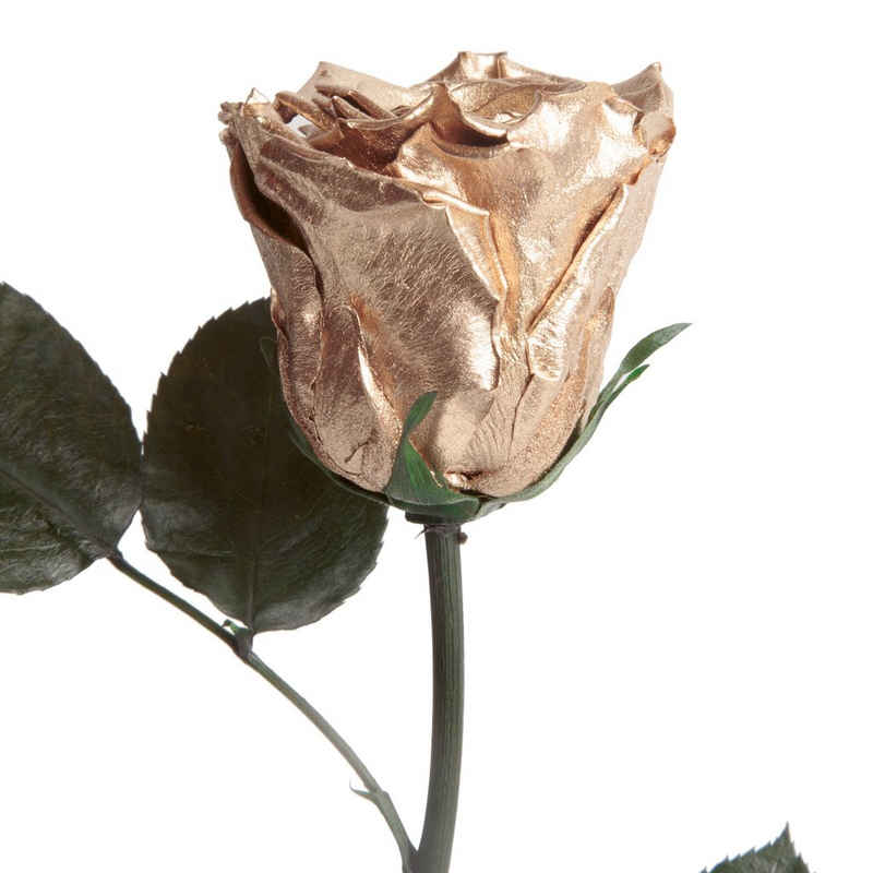 Kunstblume »Echte ewige Infinity Rose konserviert mit Stiel haltbare Rose« Rose, ROSEMARIE SCHULZ Heidelberg, Höhe 30 cm, Liebesbeweis Geschenk für sie Rose