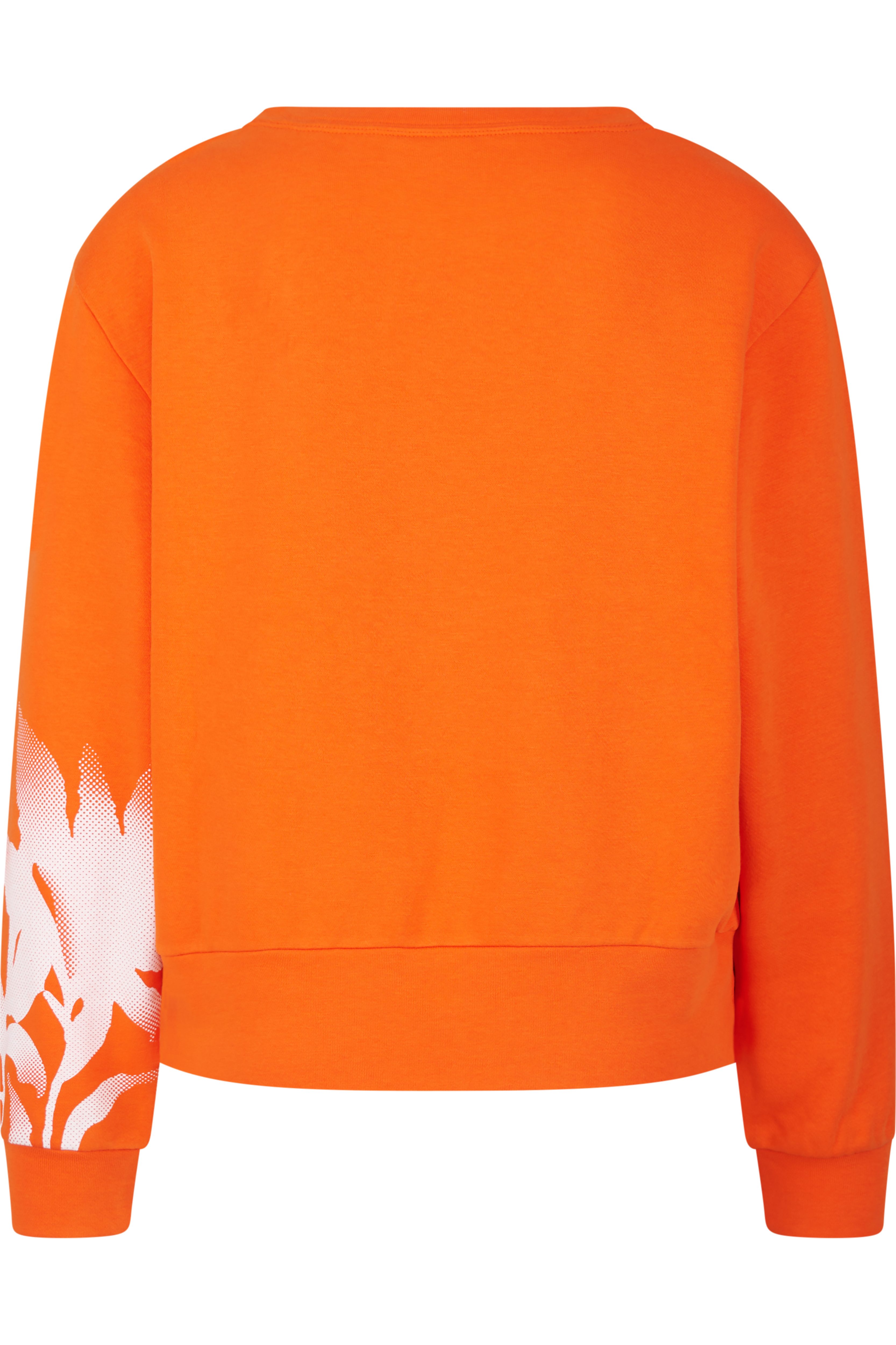 Sportalm Kitzbühel Sweatshirt Regular fit mit Rundhalsausschnitt