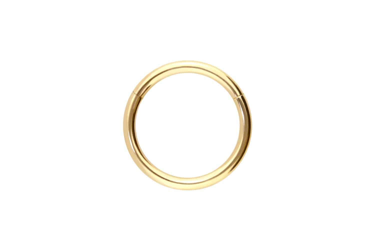 PIERCINGLINE Nasenpiercing 14/18 Karat Gold Segmentring günstig online kaufen