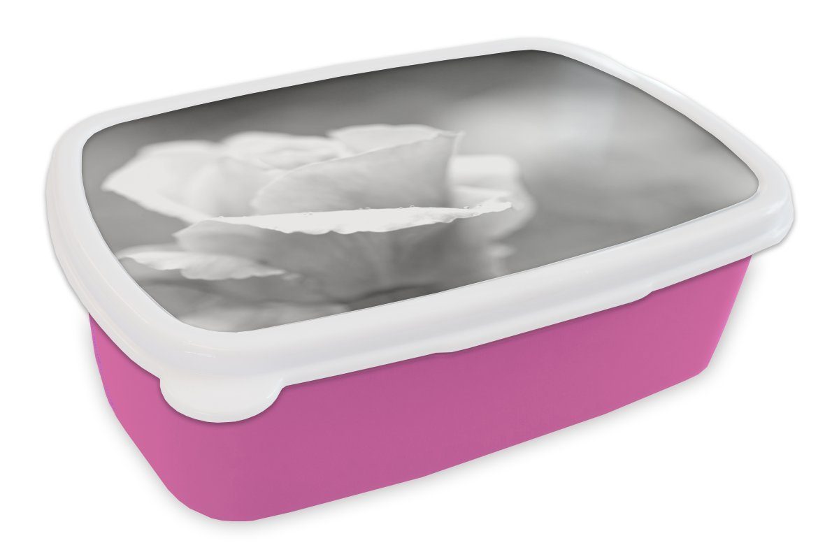 MuchoWow Lunchbox Nahaufnahme einer Rose in einem Rosengarten - schwarz und weiß, Kunststoff, (2-tlg), Brotbox für Erwachsene, Brotdose Kinder, Snackbox, Mädchen, Kunststoff rosa