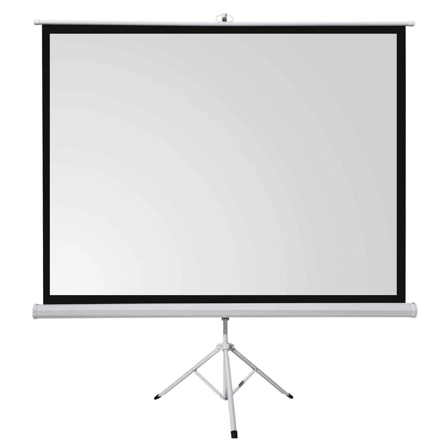 Celexon basic line Stativleinwand (schwarze Rückseite)