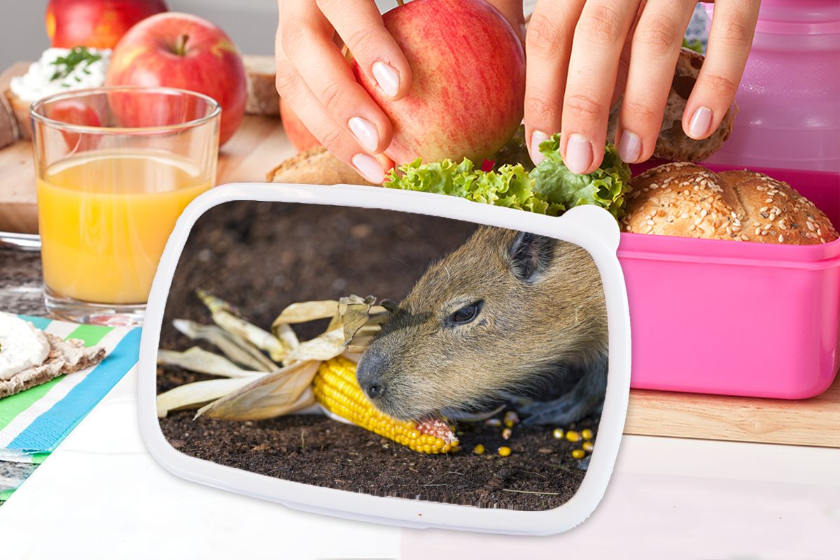 MuchoWow Kunststoff Lunchbox eines Kunststoff, Nahaufnahme Kinder, Wasserschweins Mädchen, Fressen, für Erwachsene, Brotbox Snackbox, rosa beim (2-tlg), Brotdose Eine