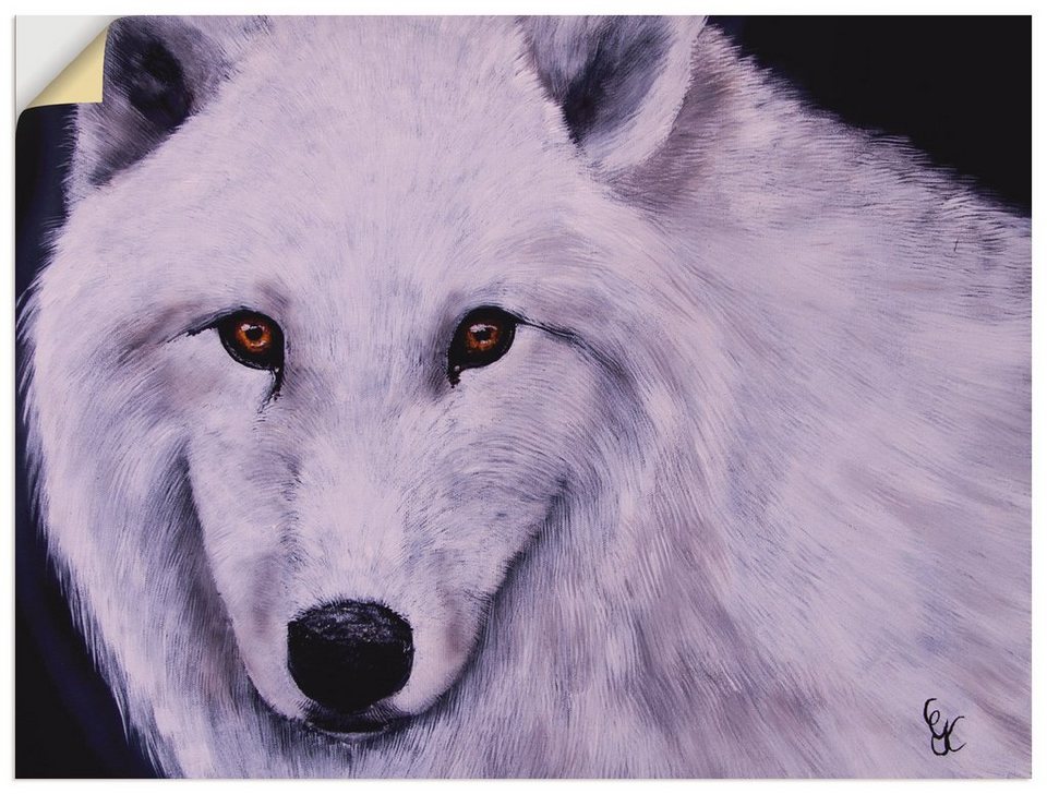Artland Wandbild Weißer Wolf, Wildtiere (1 St), als Alubild, Leinwandbild,  Wandaufkleber oder Poster in versch. Größen