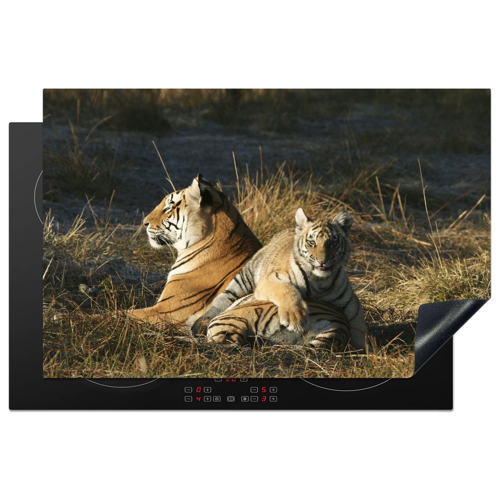 die tlg), Tiger Vinyl, - 81x52 küche, - MuchoWow (1 für cm, Induktionskochfeld Gras, Sonne Ceranfeldabdeckung Schutz Herdblende-/Abdeckplatte