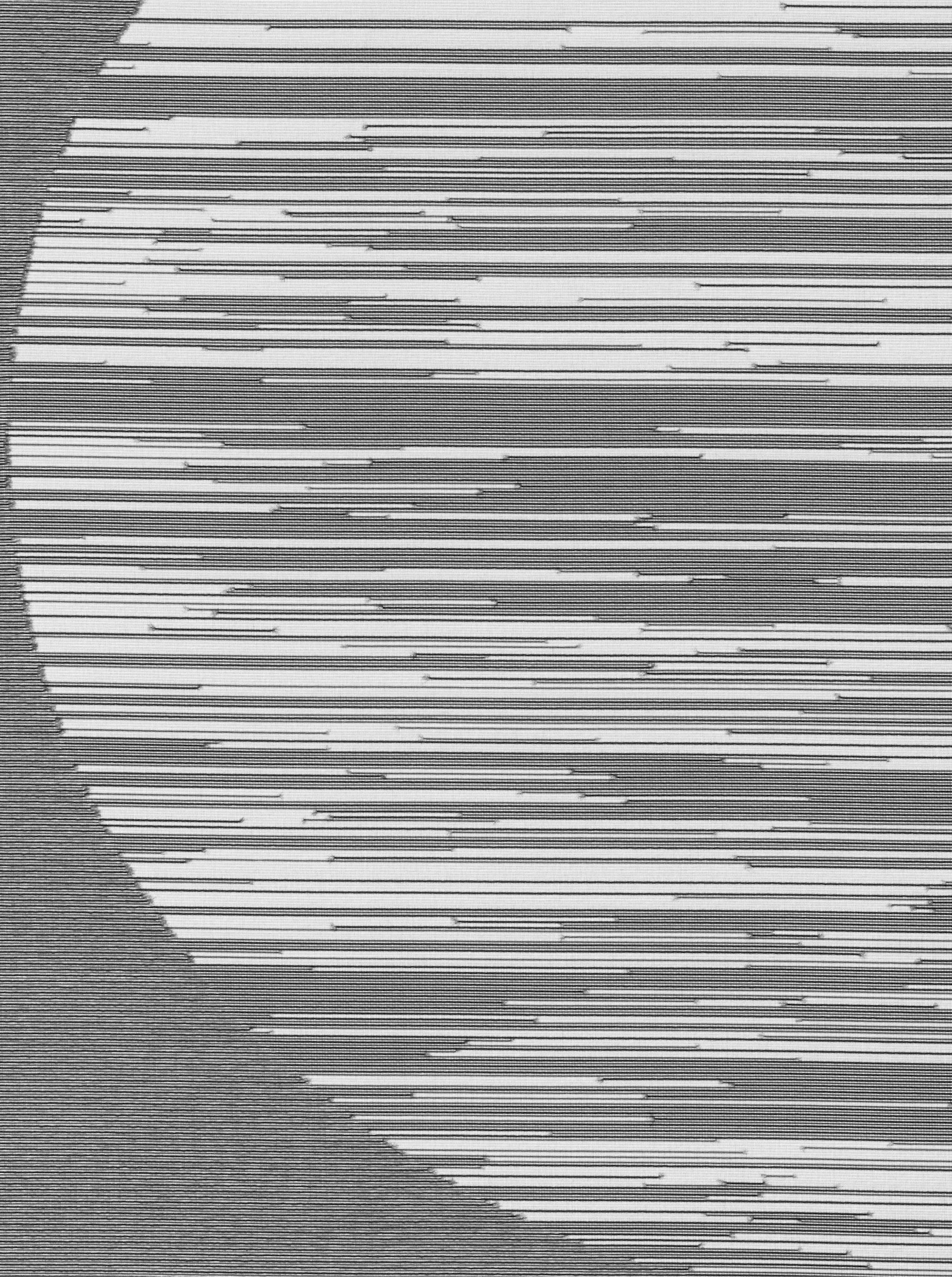 heine Gardine Schiebevorhang, (1 St), halbtransparent, günstig online kaufen