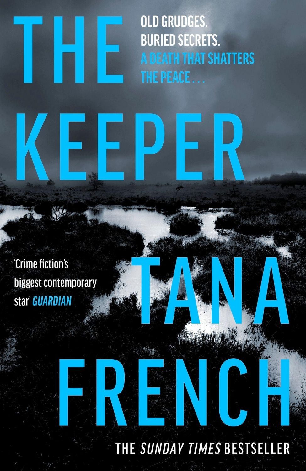 The Keeper / Tana French