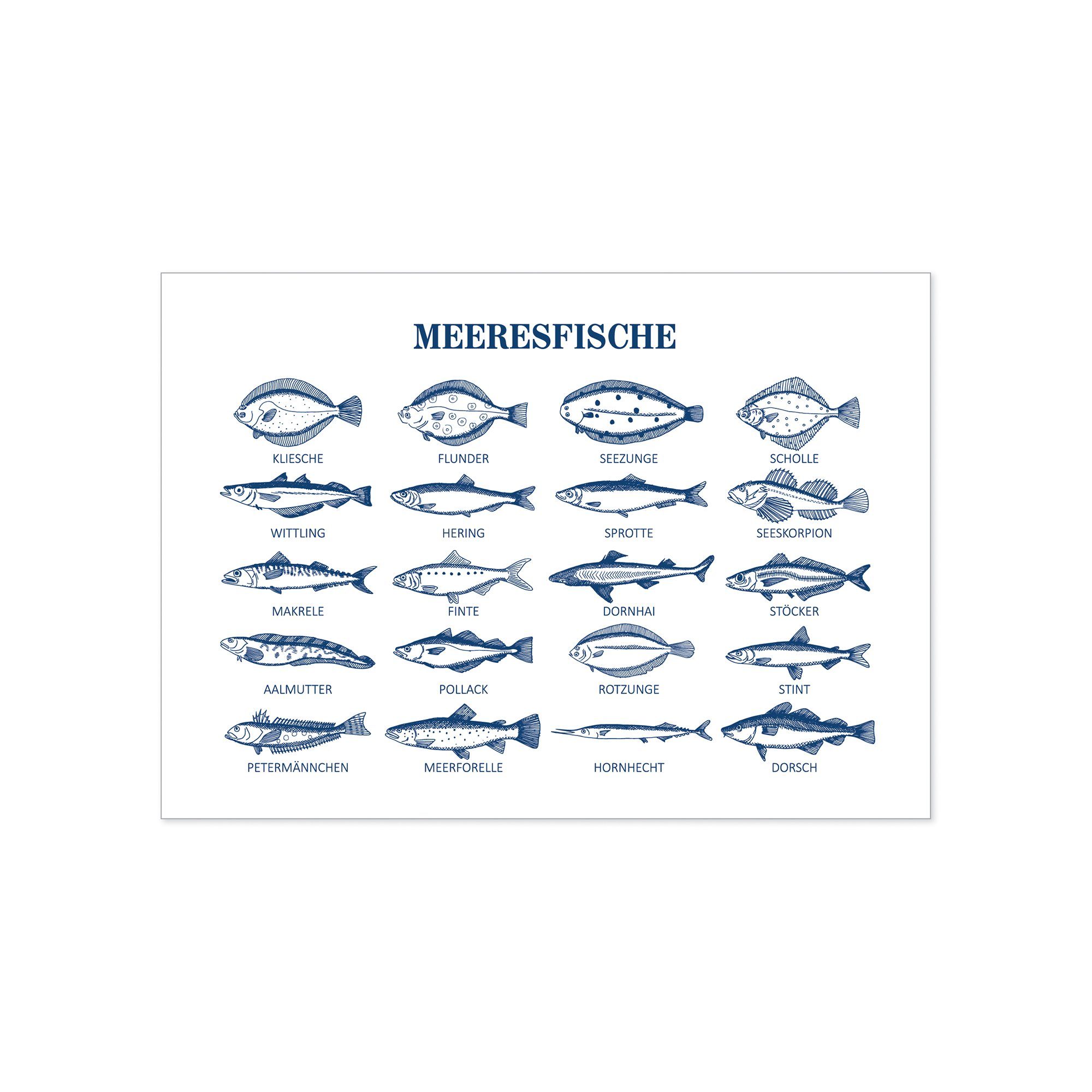 Meeresfische, & Bow Postkarte Recyclingpapier % Hummingbird 100 Postkarte