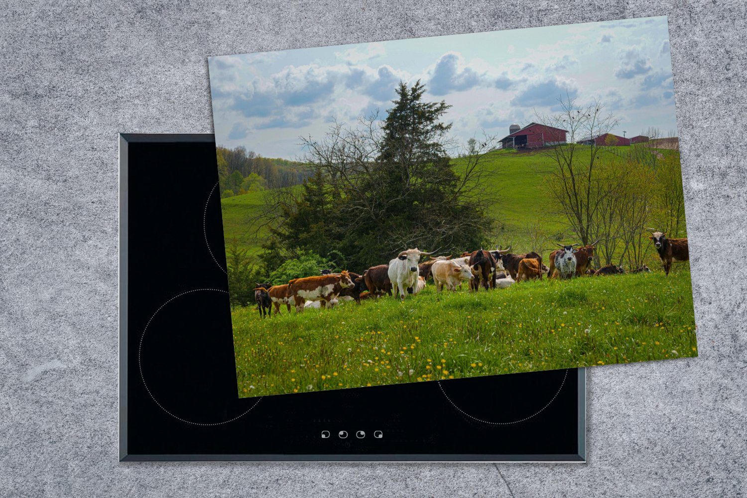 nutzbar, Herdblende-/Abdeckplatte (1 Haus MuchoWow tlg), 70x52 Mobile Kühe Vinyl, - cm, Bäume, Arbeitsfläche Ceranfeldabdeckung -