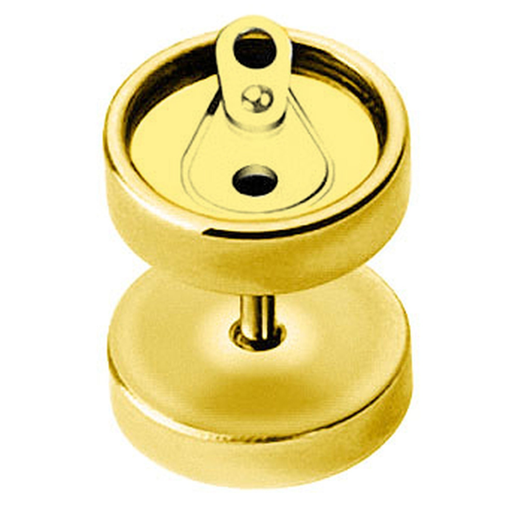 Taffstyle Piercing-Set Piercing Ohr Plug mit Dose Style, Runde Ohrring Ohrstecker Fake Flesh Tunnel Ohrpiercing Platte Stecker Gold