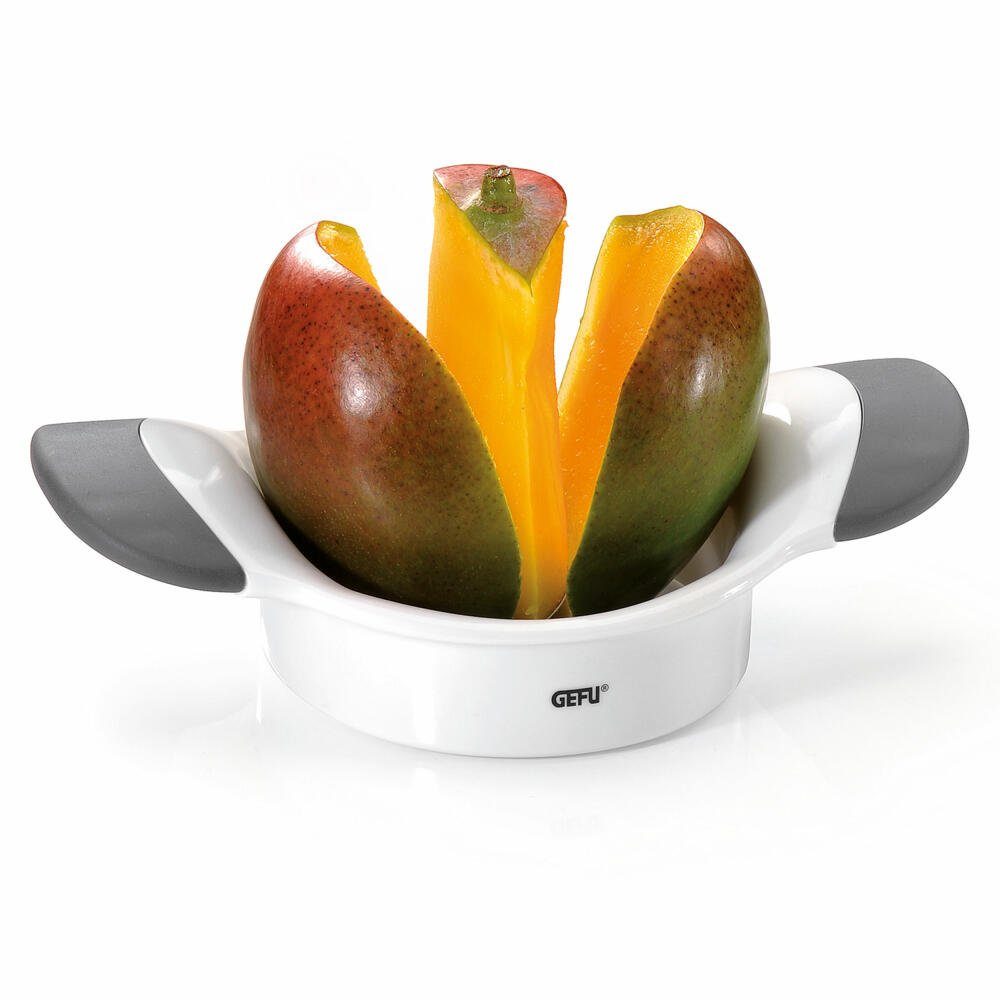Entsteiner Mangoteiler