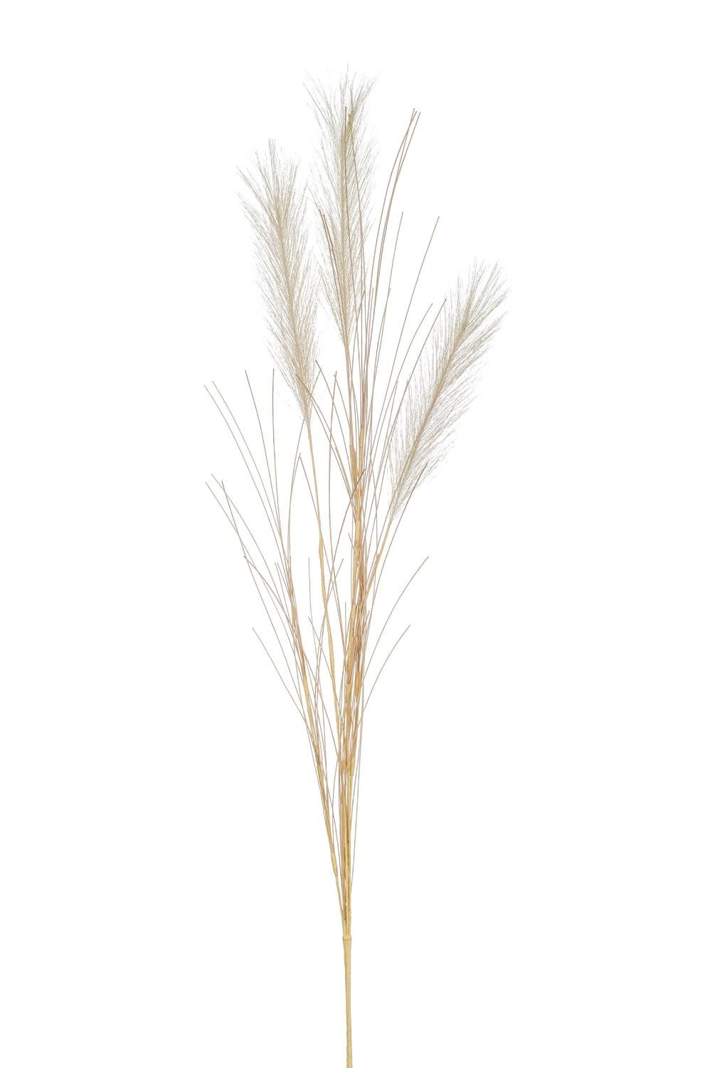 Kunstzweig Künstlicher Pampasgras Zweig BALARI, Rispen, Creme, 65cm Pampasgras, artplants, Höhe 65.0 cm