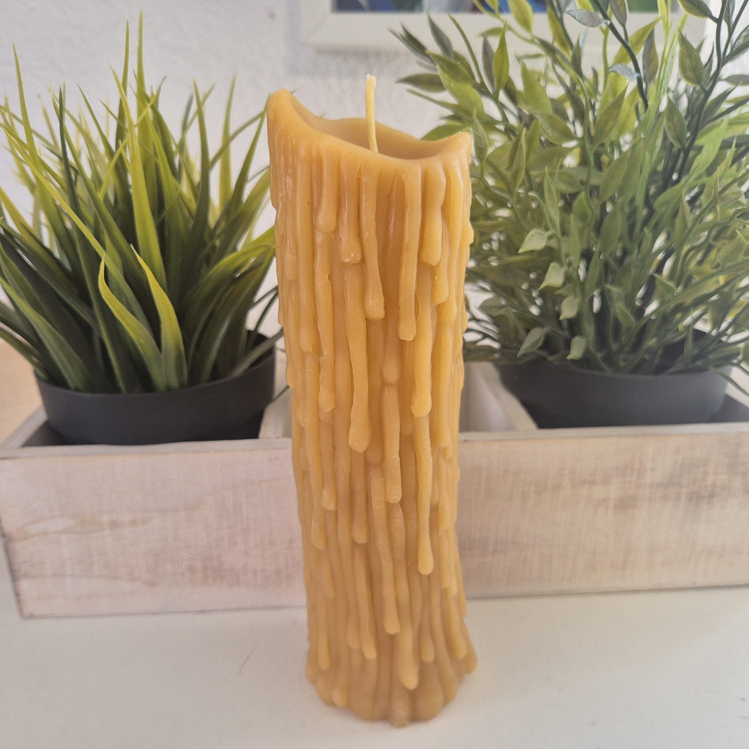 Aspinaworld Bienenwachskerze Schmelzende Stumpenkerze 18,5 cm – Kerze aus Bienenwachs