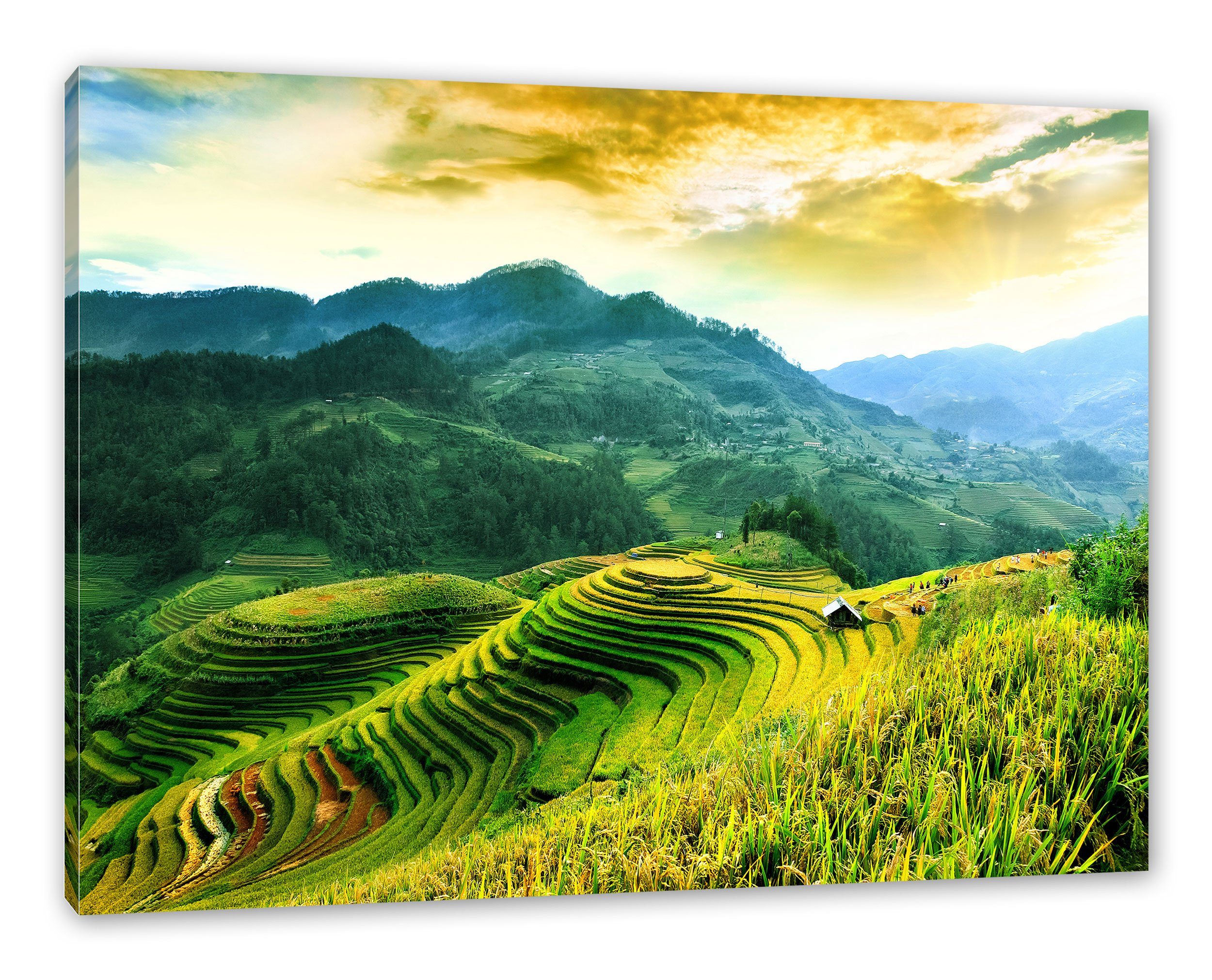 Pixxprint Leinwandbild St), fertig Reisfelder Vietnam, in (1 in inkl. bespannt, Zackenaufhänger Reisfelder Leinwandbild Vietnam