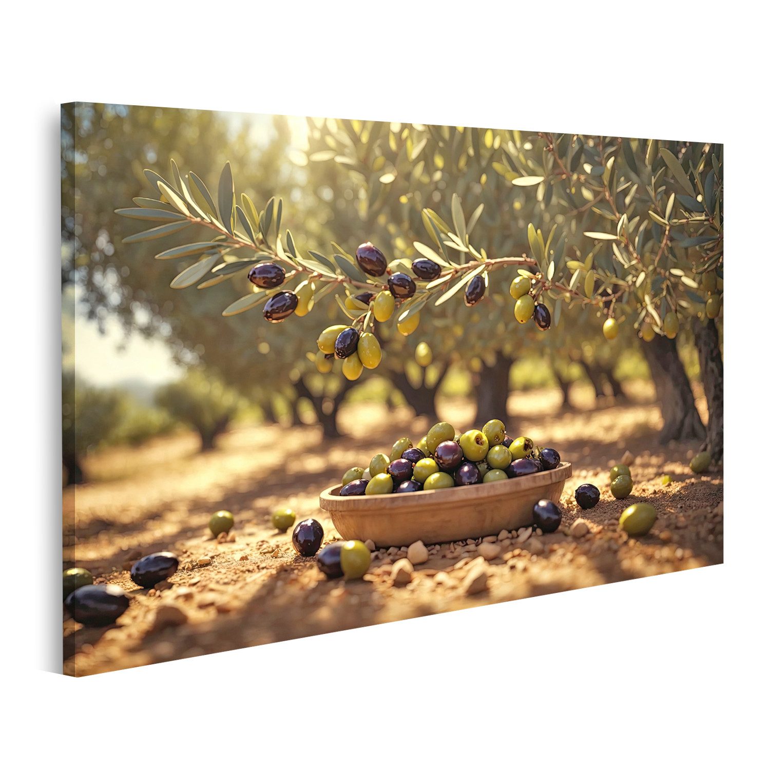 islandburner Leinwandbild Köstliche Oliven Malerischer Olivenhain Köstliche günstig online kaufen