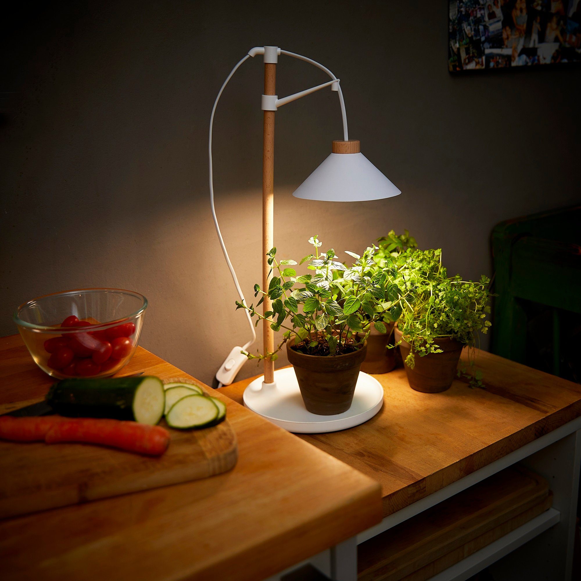 Northpoint Pflanzenlampe LED Pflanzenleuchte Kräutergarten aus Echtholz 9W 550 Lumen Timer