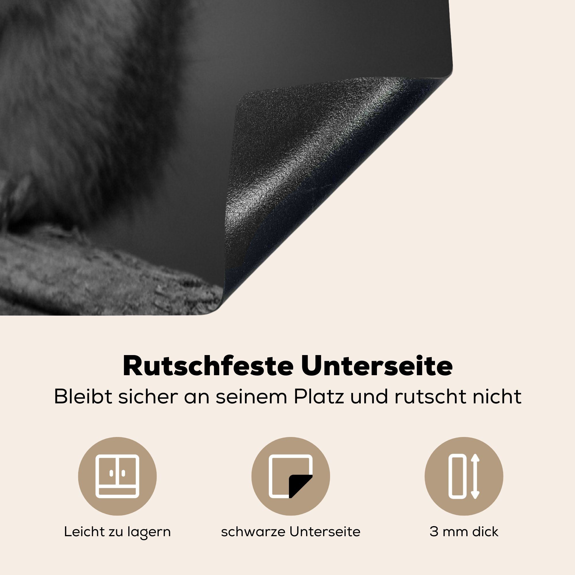 MuchoWow Herdblende-/Abdeckplatte Neugieriges 78x78 Schwarz und Arbeitsplatte Weiß, Eichhörnchen für Ceranfeldabdeckung, küche in Vinyl, (1 cm, tlg)