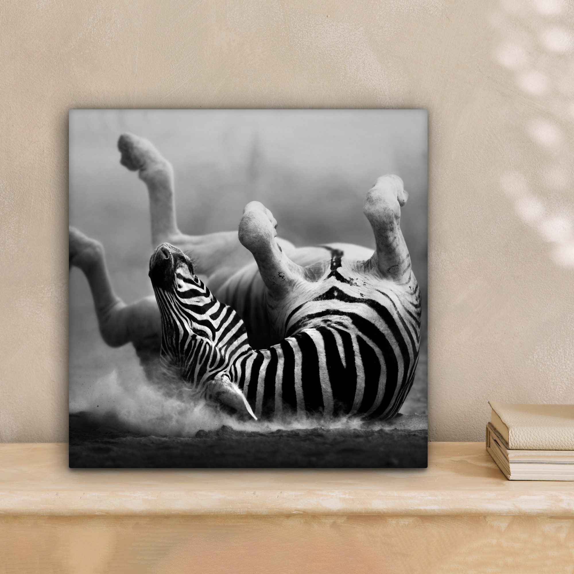 OneMillionCanvasses® Leinwandbild Zebra - Tiere - günstig online kaufen