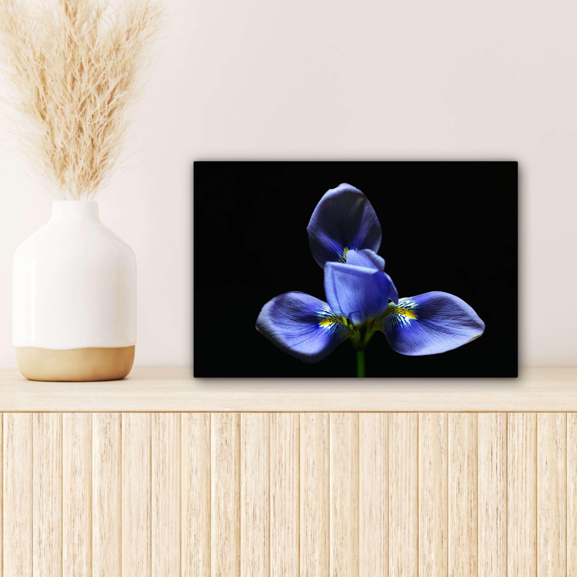 cm Wandbild 30x20 Iris Leinwandbilder, Wanddeko, schwarzen OneMillionCanvasses® St), Hintergrund, Leinwandbild (1 für Aufhängefertig,