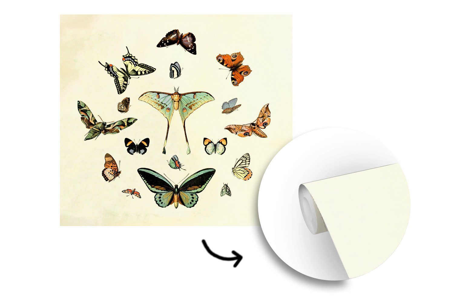 bedruckt, Tapete Vintage, St), - Vinyl oder - MuchoWow Wandtapete (5 Tiere Fototapete Schlafzimmer, für Schmetterling Matt, Wohnzimmer
