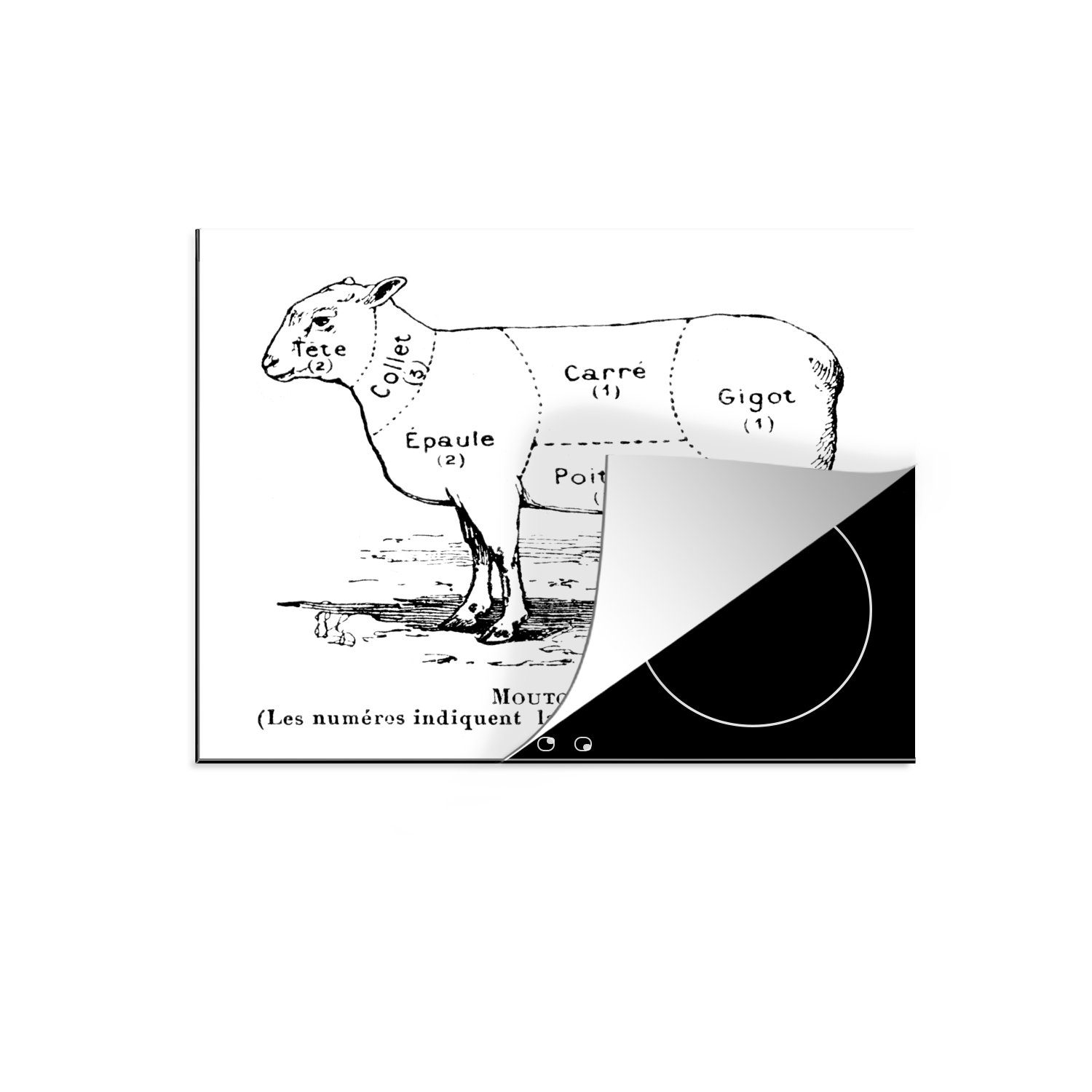 MuchoWow Herdblende-/Abdeckplatte Illustration Metzgers des cm, Arbeitsfläche Schema Mobile (1 Vinyl, dem 60x52 mit Schafes, Ceranfeldabdeckung tlg), eines nutzbar