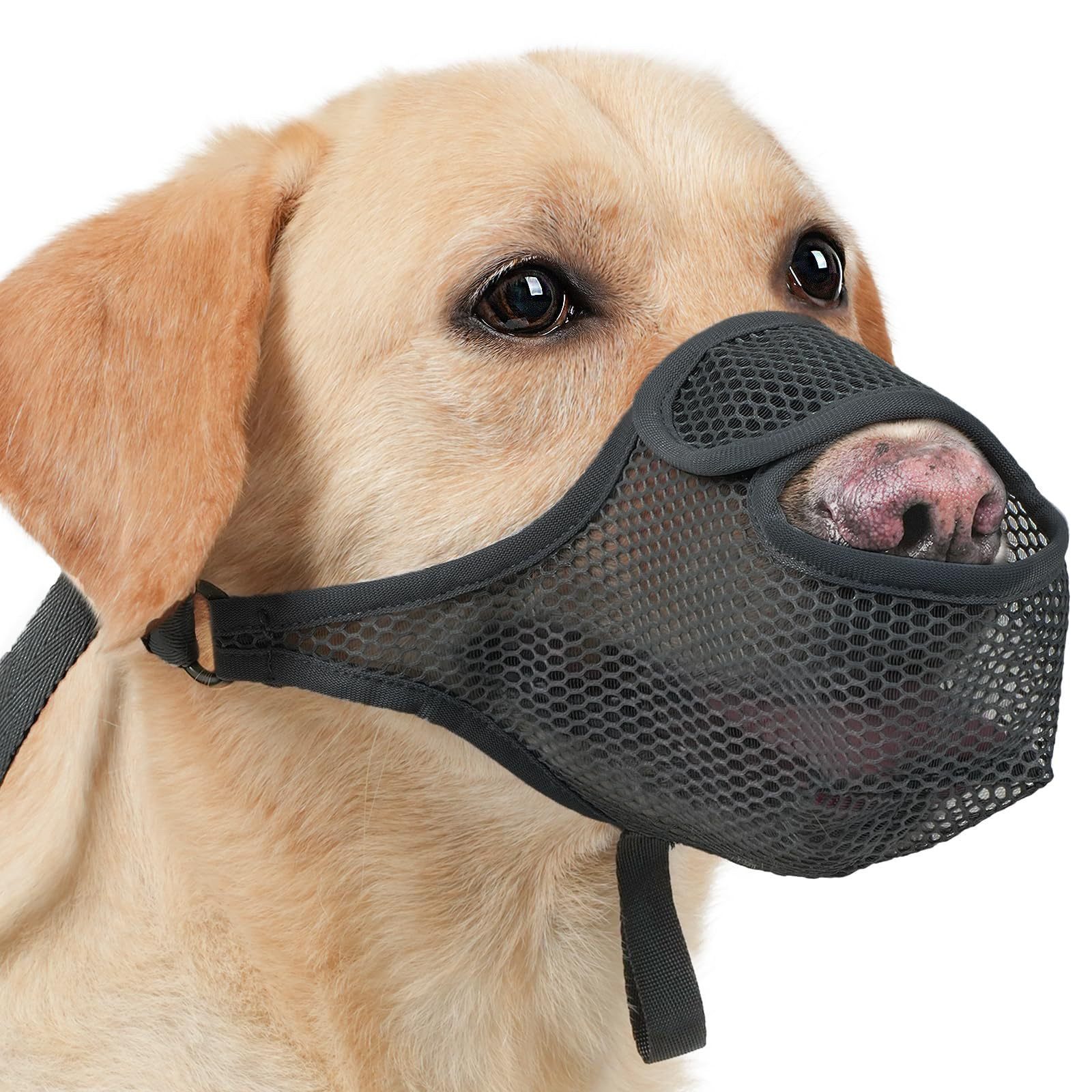Zaewry Maulkorb Hunde Maulkorb, Nylon-Mesh, Atmungsaktiv und Bequem, Maulkorb für Große Hunde mit Verstellbaren Trägern