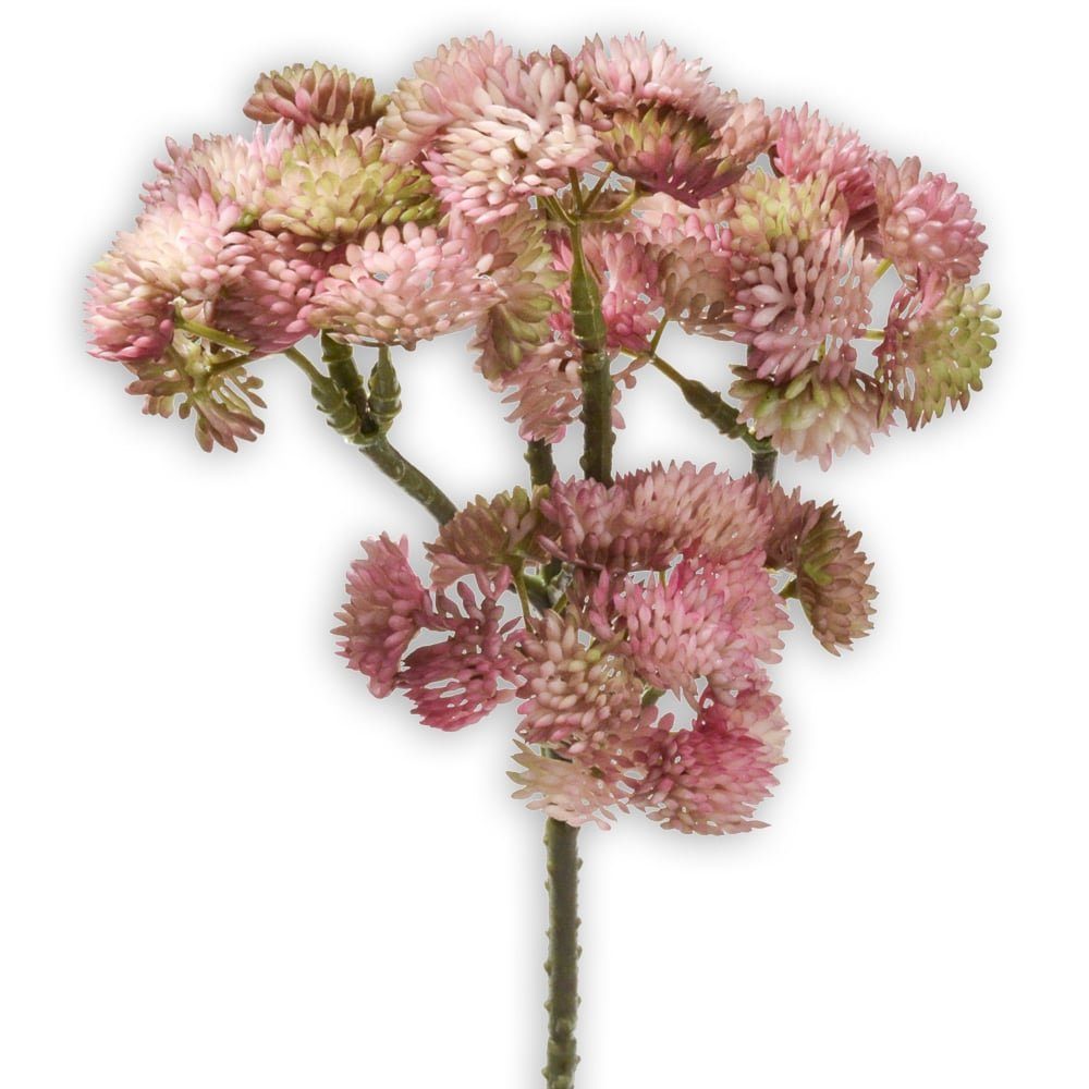 Kunstblume Fetthenne Kunstpflanze Dekopflanze 1 Stk 30 cm pink Fetthenne, matches21 HOME & HOBBY, Höhe 30 cm, Indoor