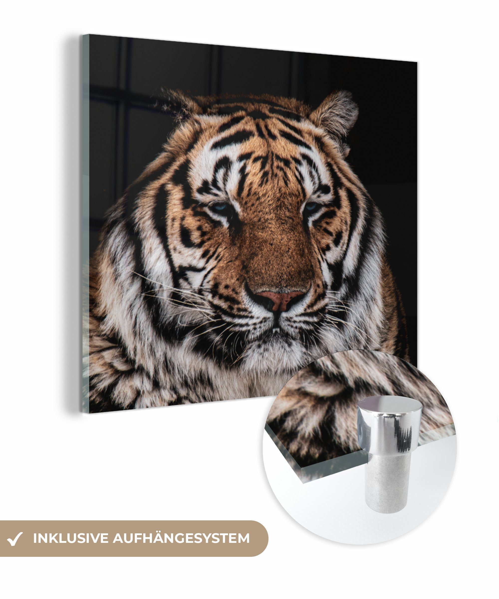 MuchoWow Acrylglasbild Tiger - Tiere - Orange, (1 St), Glasbilder - Bilder auf Glas Wandbild - Foto auf Glas - Wanddekoration