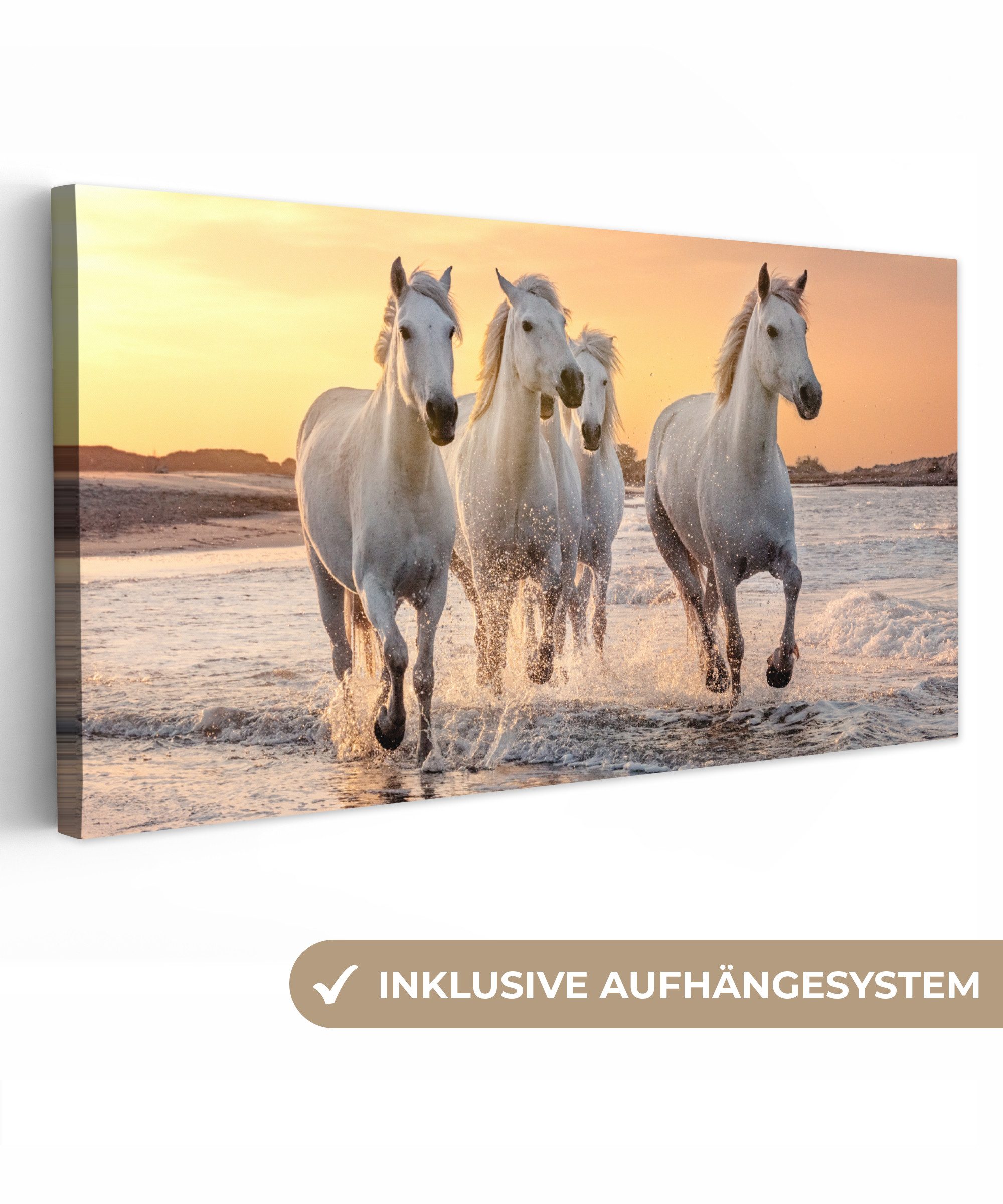 OneMillionCanvasses® Leinwandbild Panorama Pferde - Sonne günstig online kaufen