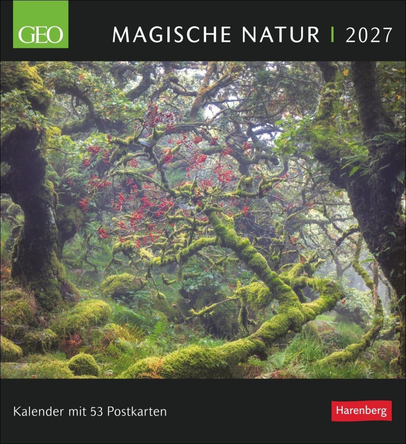 Tischkalender GEO Magische Natur Postkartenkalender 2027 - Wochenkalender mit 53 Pos