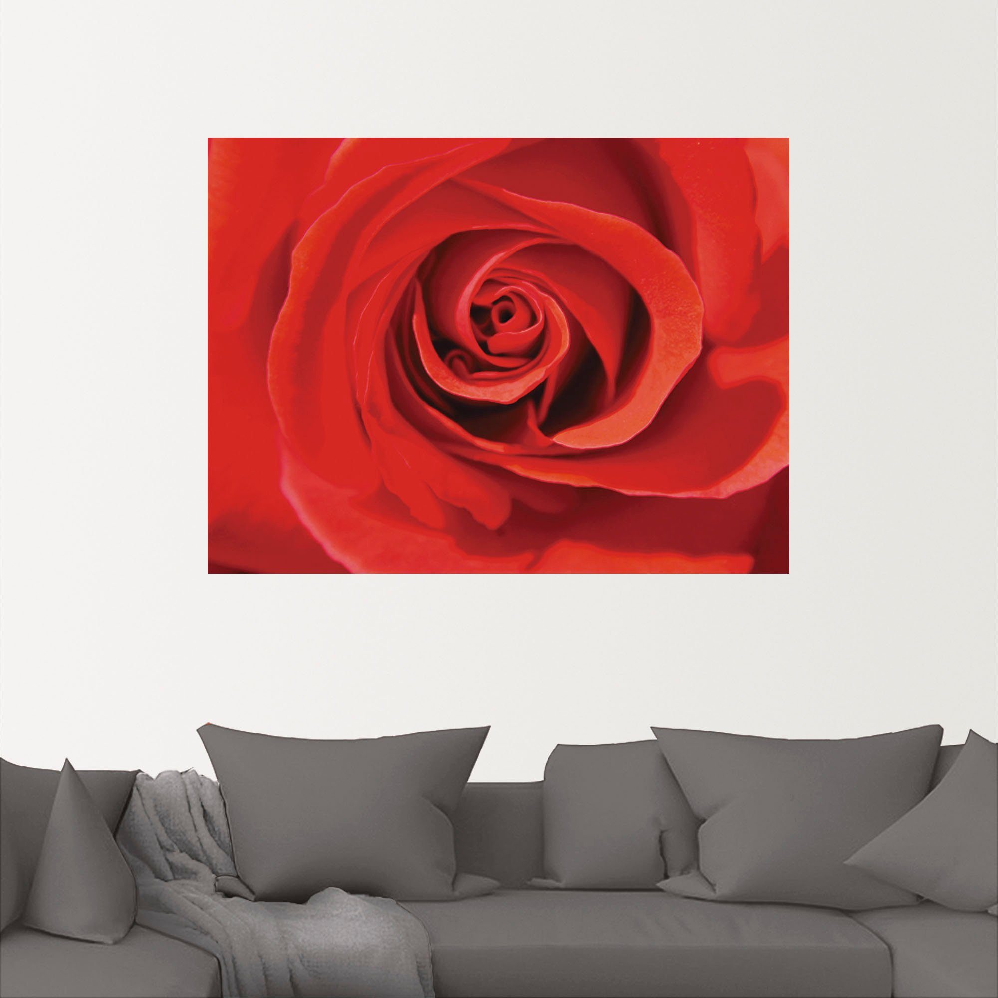 Artland Wandbild »Rose rot_Detail«, Blumenbilder (1 Stück), in vielen Größen & Produktarten - Alubild / Outdoorbild für den Außenbereich, Leinwandbild, Poster, Wandaufkleber / Wandtattoo auch für Badezimmer geeignet-kaufen