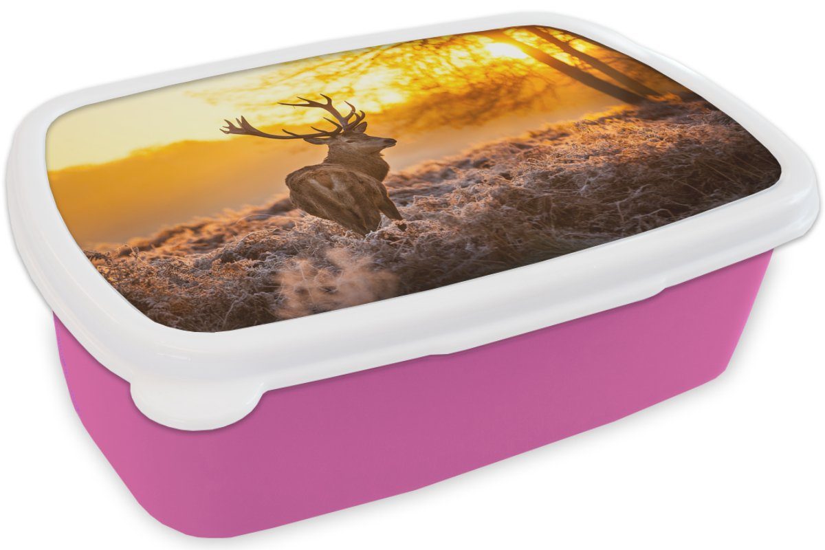 Kunststoff Kinder, Brotbox Sonnenuntergang, (2-tlg), - - Mädchen, Erwachsene, für Lunchbox Kunststoff, Brotdose rosa MuchoWow Winter Hirsche Snackbox,