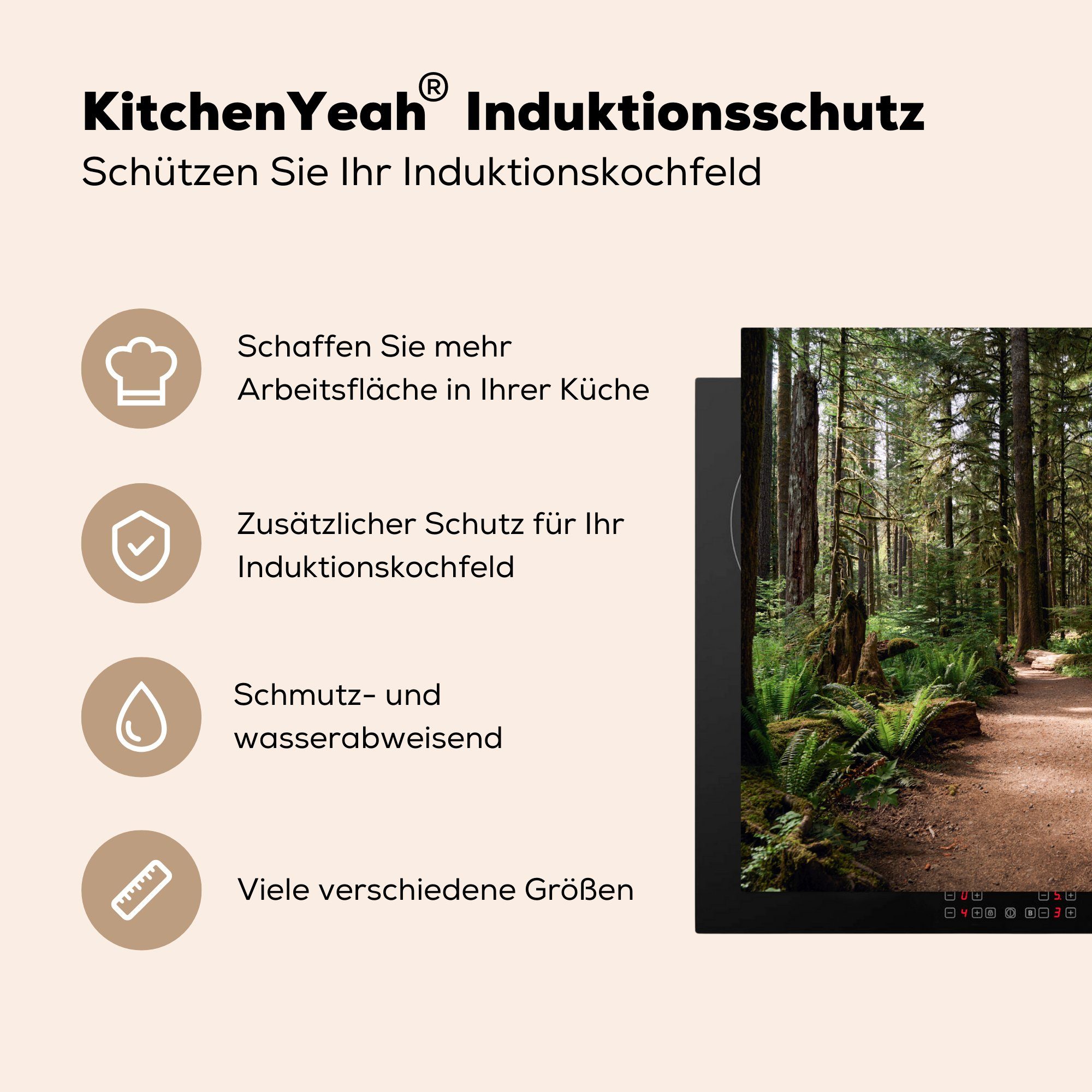 cm, Ceranfeldabdeckung, Arbeitsplatte MuchoWow küche Wald für - 77x59 Vinyl, Herdblende-/Abdeckplatte Baum, tlg), Amerika (1 -