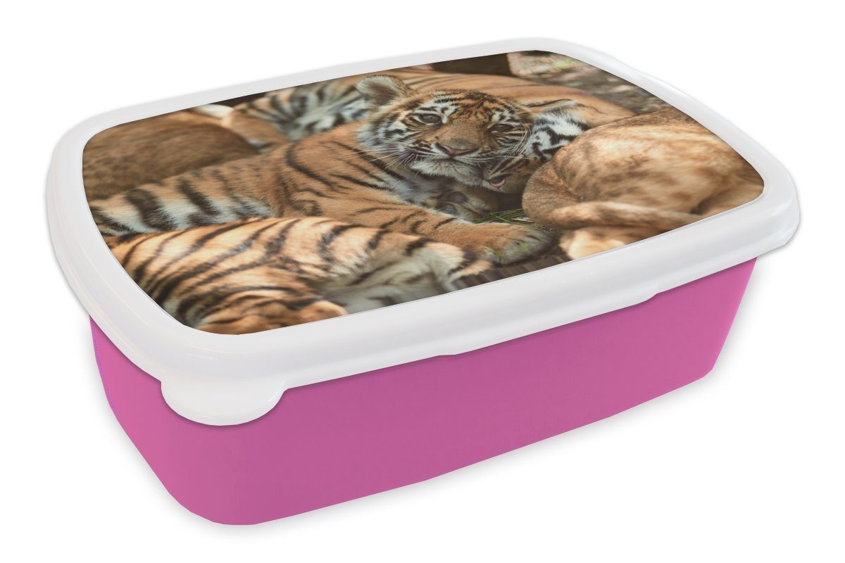 MuchoWow Lunchbox Tiger - Junglöwe - Sonne, Kunststoff, (2-tlg), Brotbox für Erwachsene, Brotdose Kinder, Snackbox, Mädchen, Kunststoff rosa