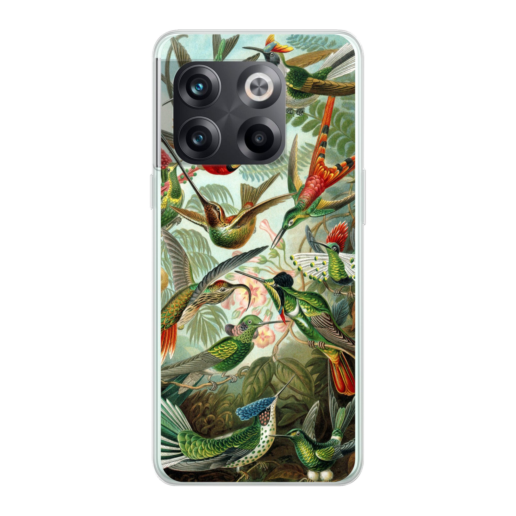 MuchoWow Handyhülle für OnePlus 10T Trochilidae - Alte Meister - Kunst, Phone Case, Silikon, Schutzhülle Dünn