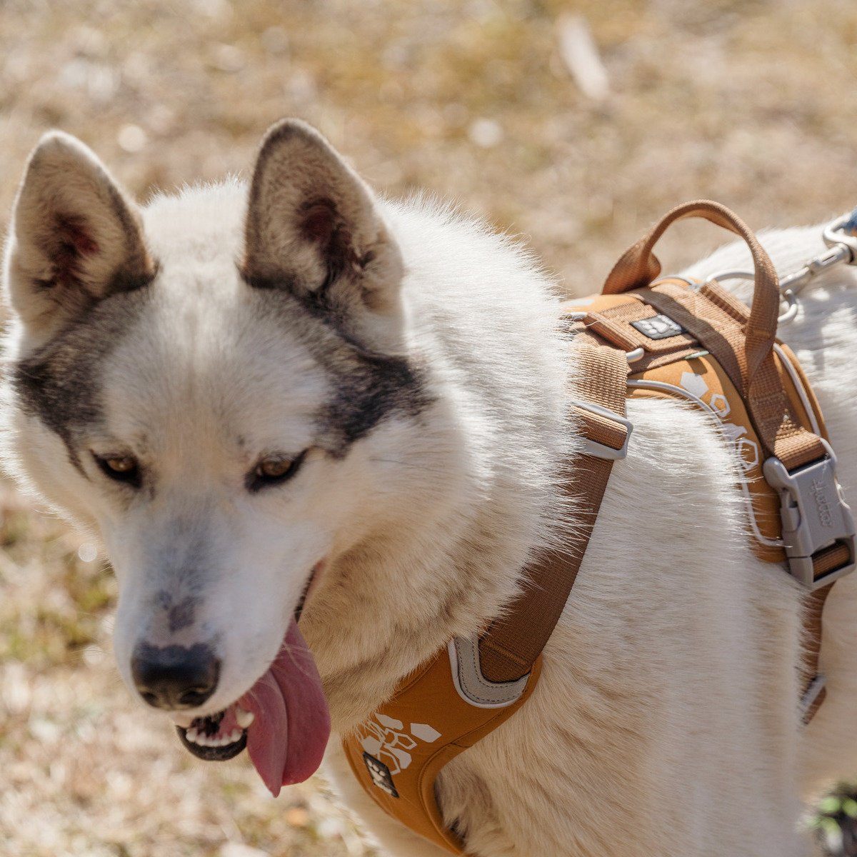HURTTA Hunde-Geschirr Weekend Warrior Geschirr desert/braun