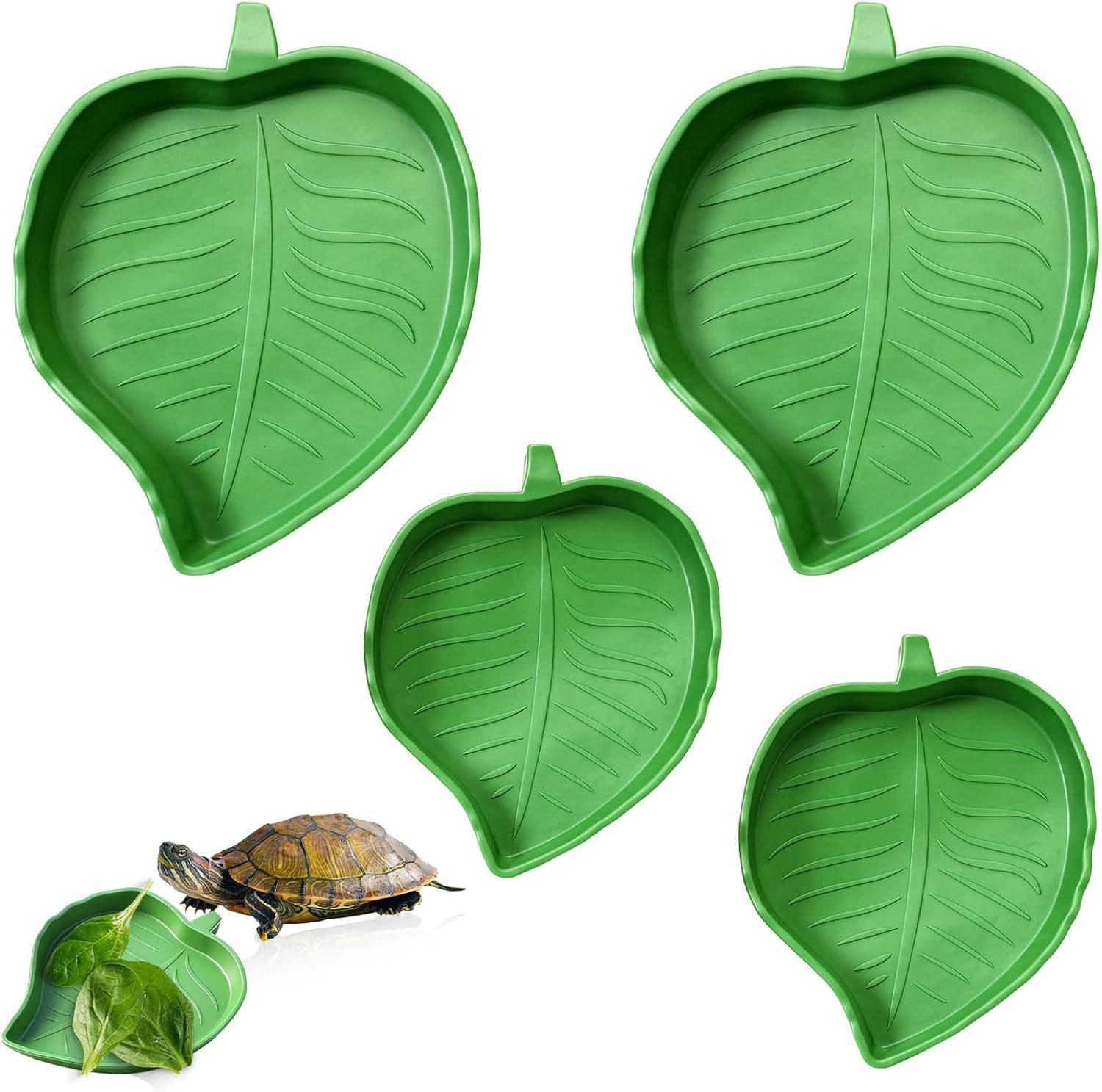 FELIXLEO Terrarium 4 Stück Reptilien Futterschale Wasserschale Terrarium Schildkröte.