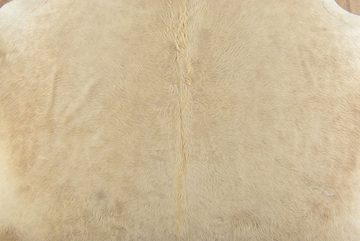Fellteppich Kuhfell Teppich Beige Champagner Rinderfell 210 x 180 cm, KUHFELL online & NOMAD