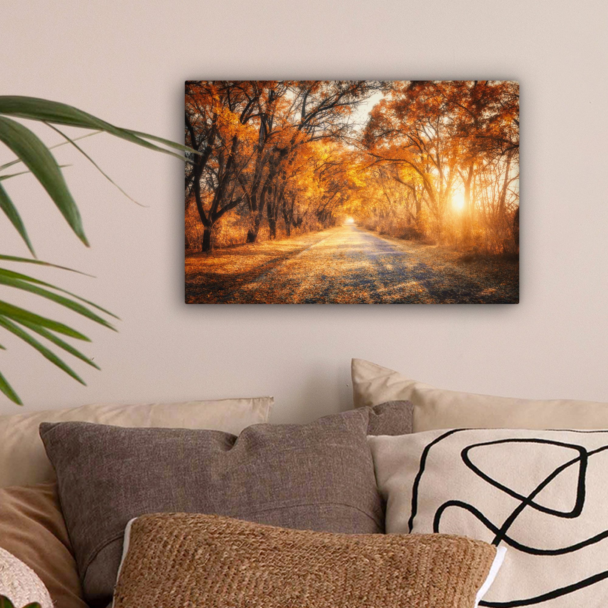 OneMillionCanvasses® Leinwandbild Wald - Herbst - Bäume - Weg - Natur, Foto günstig online kaufen