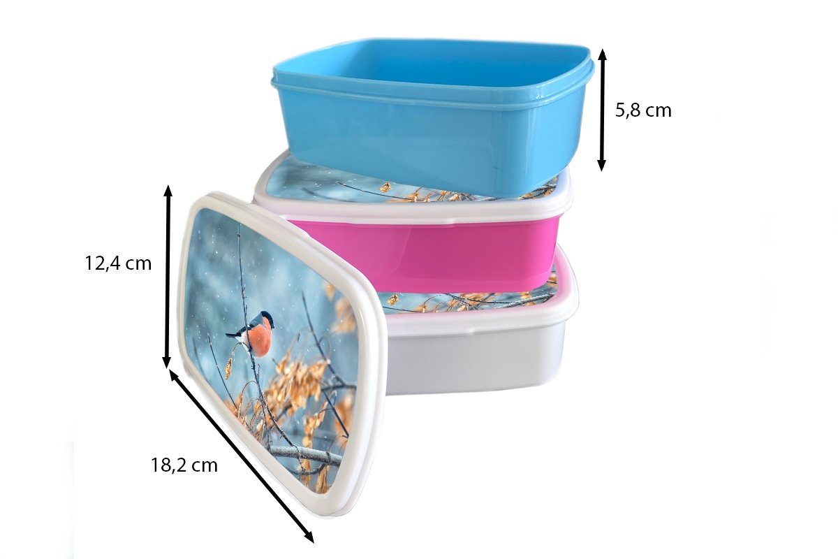 - Lunchbox Erwachsene, Kunststoff Schnee Brotdose Blätter, - Kinder, Herbstliche Vogel für Mädchen, Brotbox Snackbox, MuchoWow - Kunststoff, Rotkehlchen (2-tlg), rosa