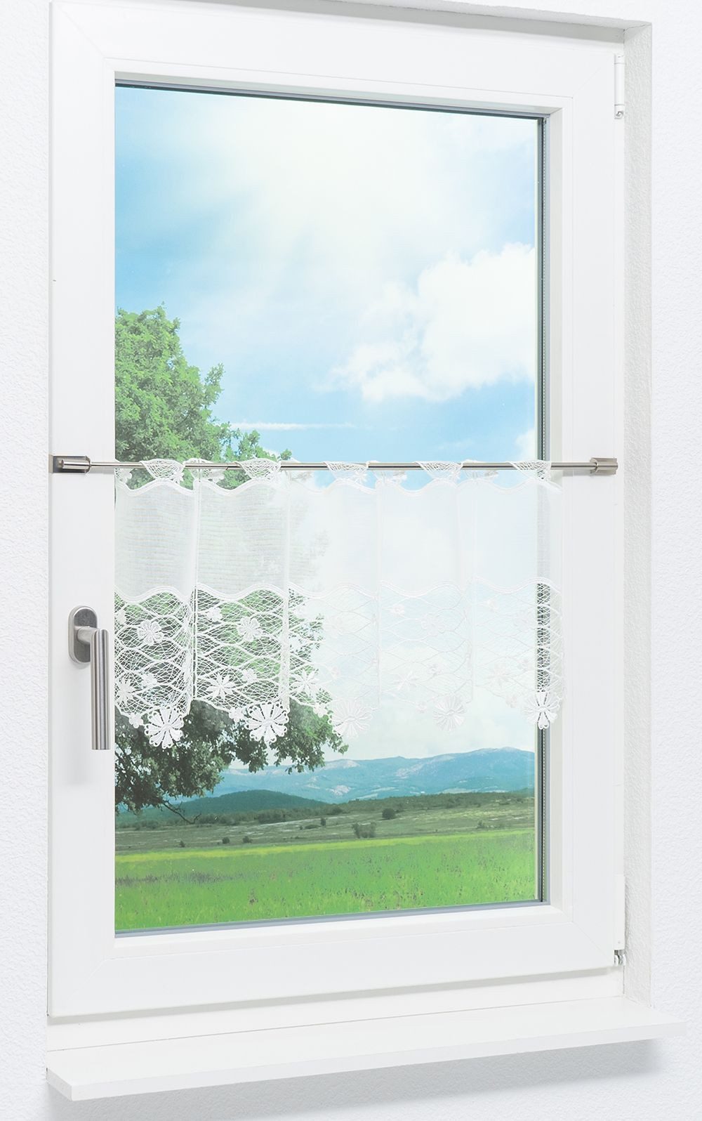 Plauener Spitze® Scheibengardine Blütenmeer (1 St), transparent, HxB 32x48c günstig online kaufen