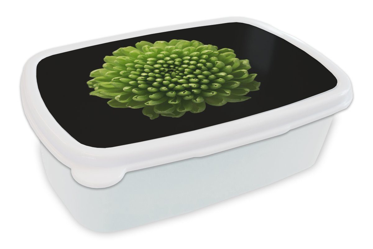 MuchoWow Lunchbox Eine grüne Chrysanthemenblüte auf schwarzem Hintergrund, Kunststoff, (2-tlg), Brotbox für Kinder und Erwachsene, Brotdose, für Jungs und Mädchen weiß