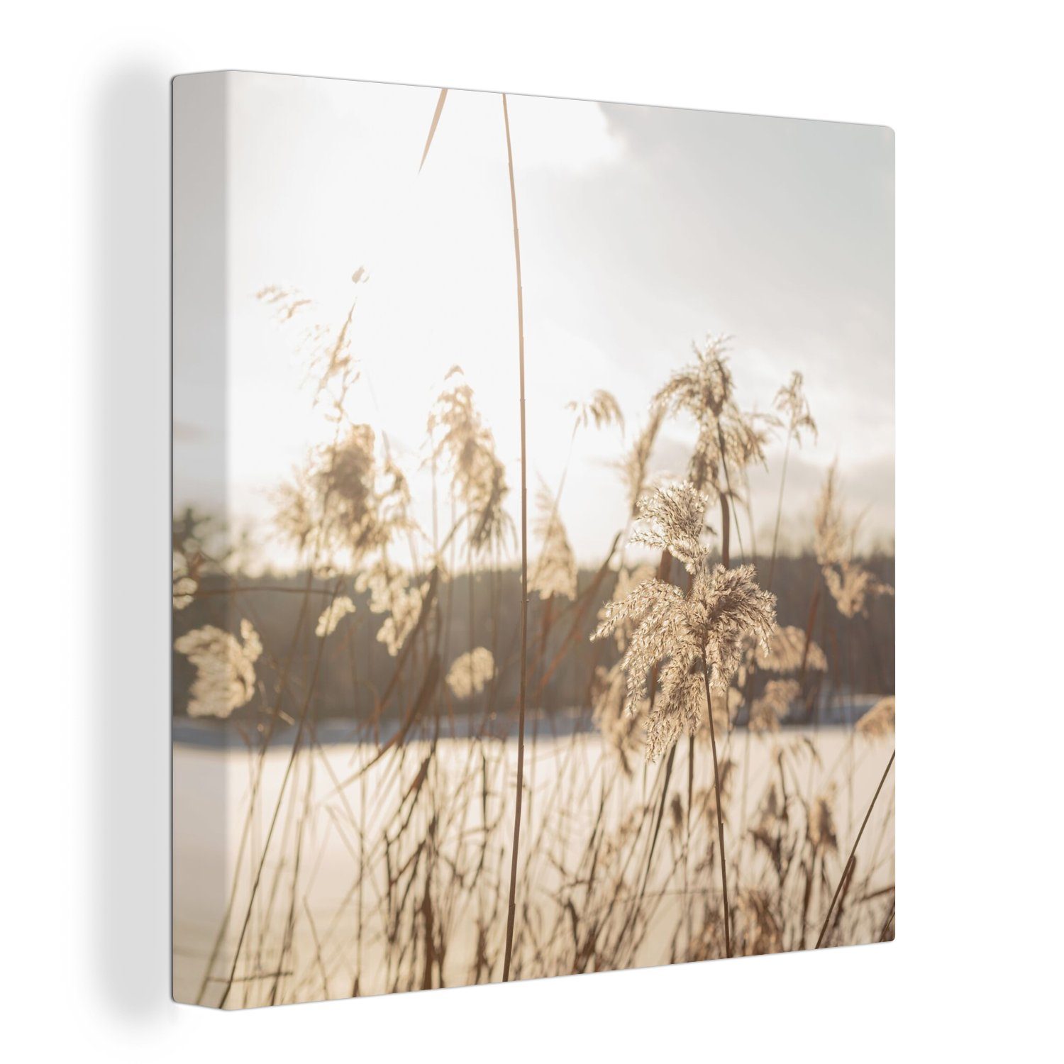 OneMillionCanvasses® Leinwandbild Wasser - Pampasgras - günstig online kaufen