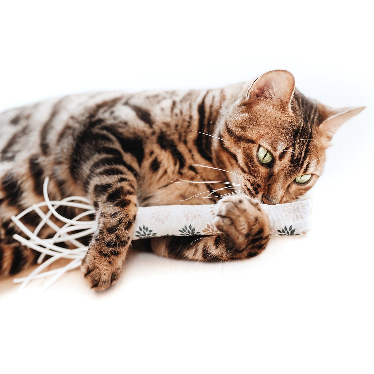 Canadian Cat Company Katzen-Federwedel 3er Set Spielrolle mit Lederstreifen, 3er Set Baldrian, Katzenspielzeug, Katzenkissen, Spielkissen