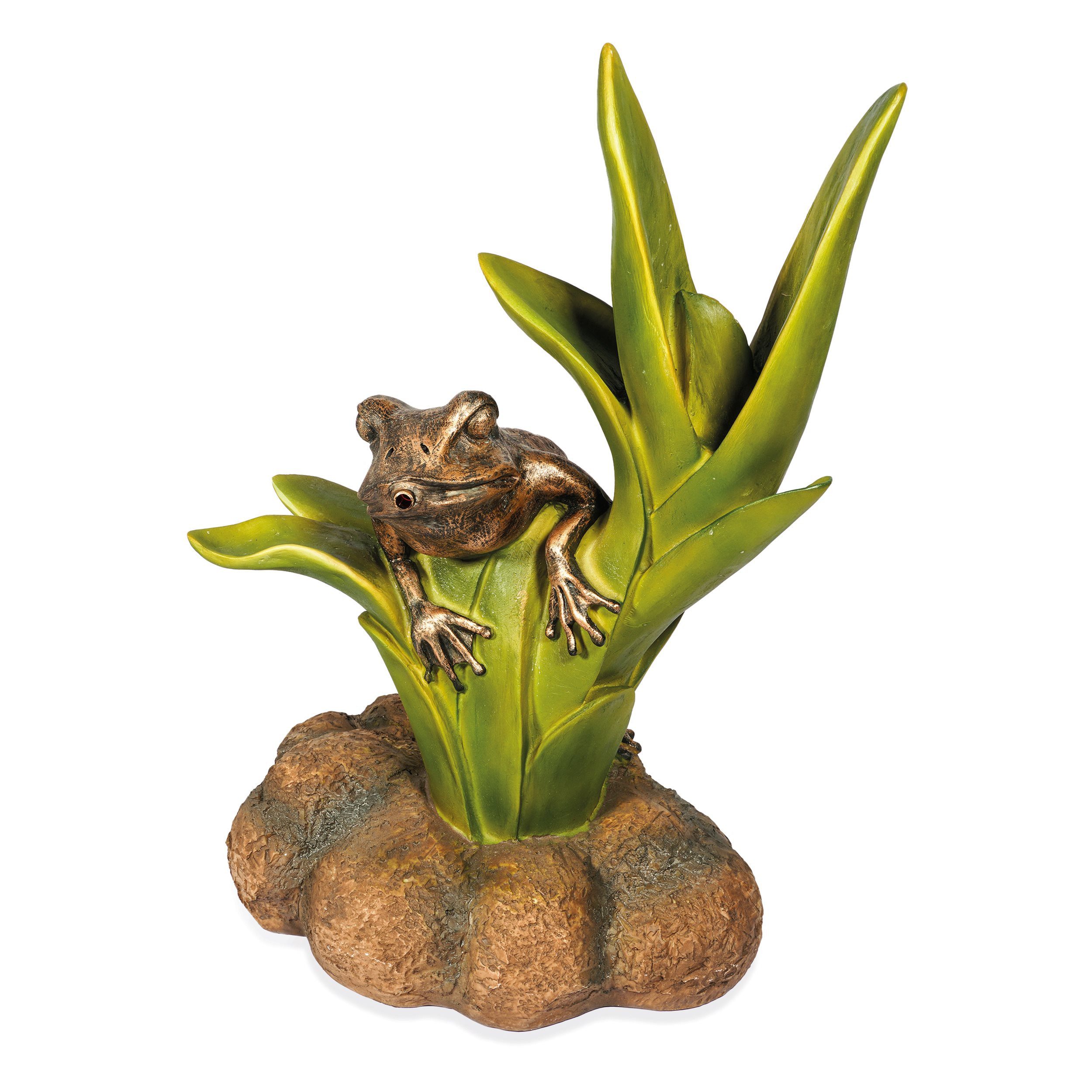 esotec Wasserspeier Figur Frosch sitzend auf Blättern mit Schlauch 1,5m, 31x46x22cm 100741 (Komplettset)