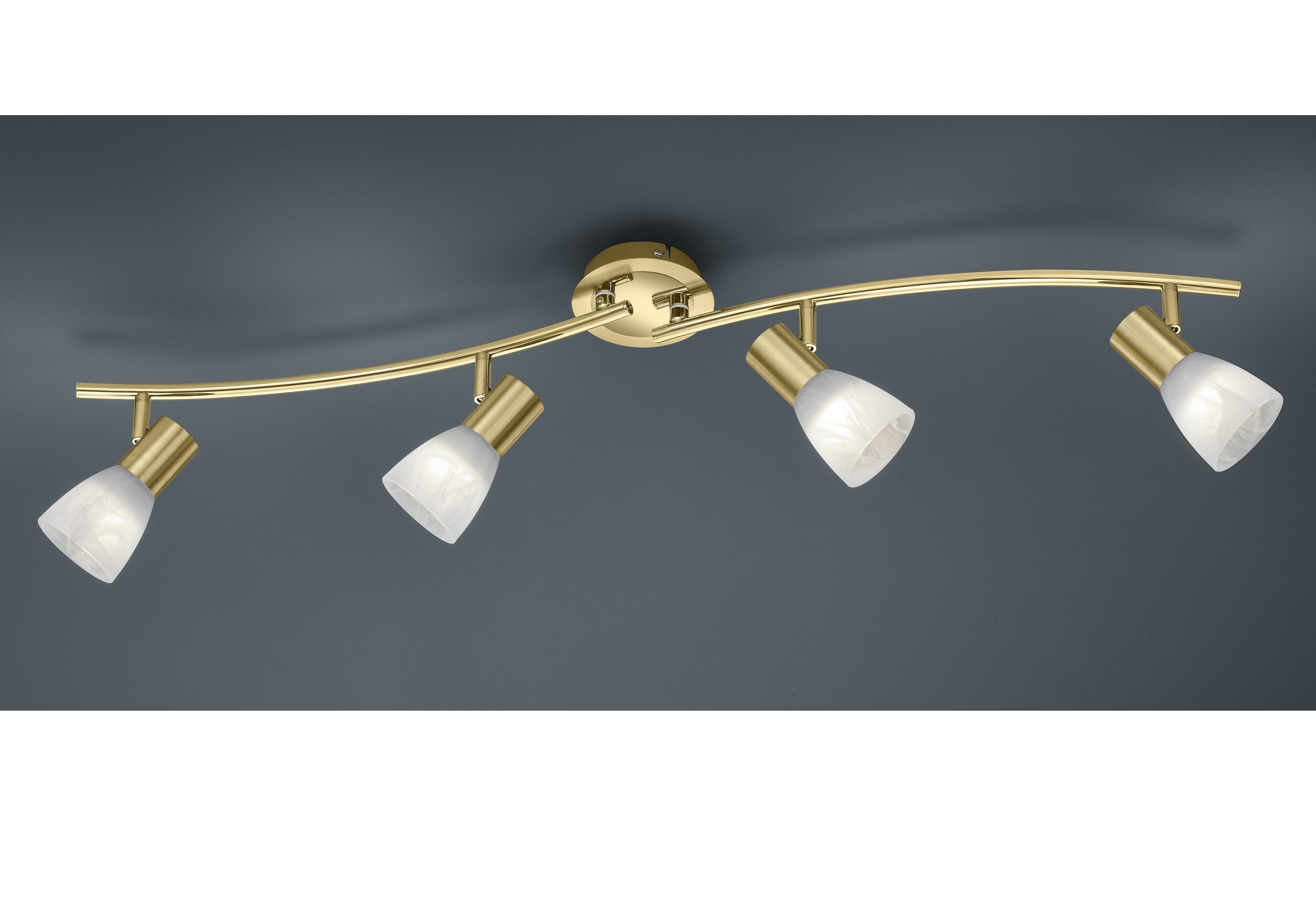 TRIO Leuchten LED Deckenstrahler Levisto, LED günstig online kaufen