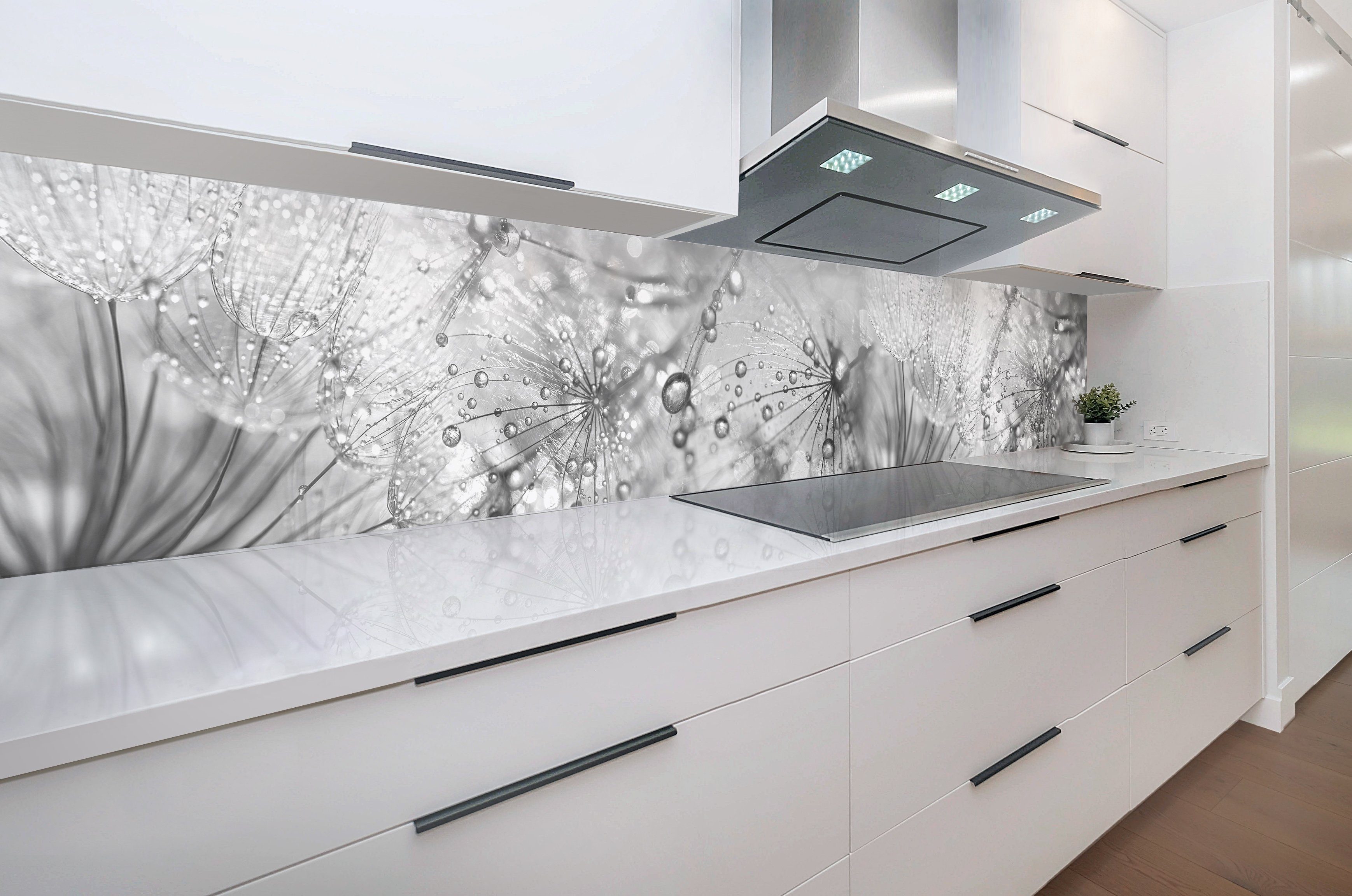 Rodnik Küchenrückwand Direktdruck mit DELUXE Monolith ABS-Kunststoff in Platte Qualität Pusteblumen