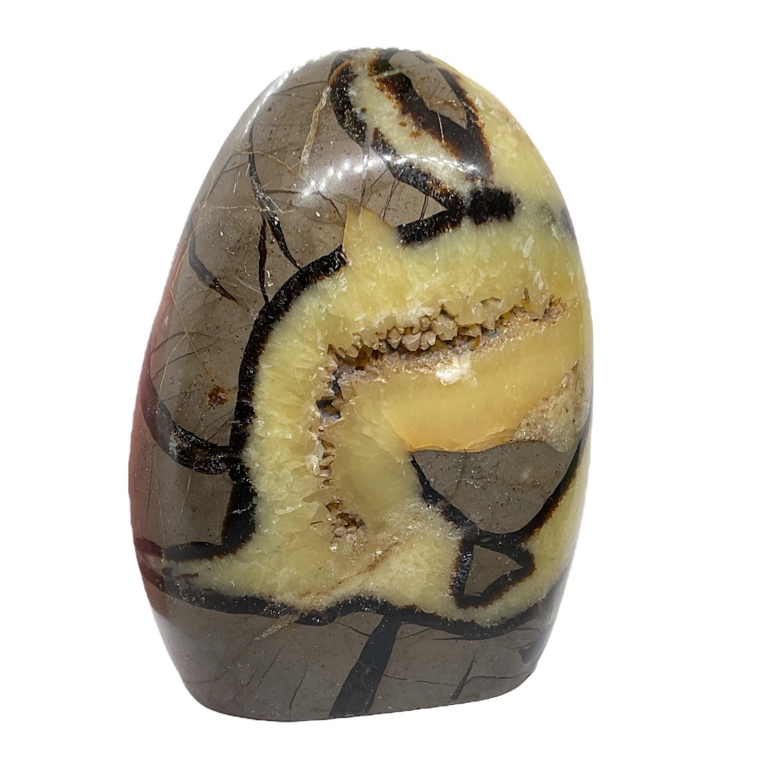 Steinfixx® Edelstein Septarien Freeform, 13 x 9 x 6 cm, 1330 g, Unikat, (beliebter Edelstein, 1-St., Highlight für jeden Raum), AAA-Qualität aus Madagaskar